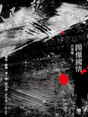 cover image of 踢爆國情